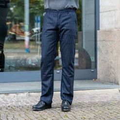 Scarti Lab Hosen>Wool Pants 101 Blue Striped